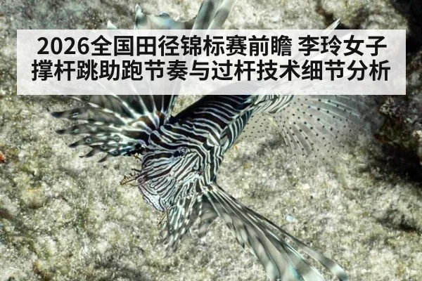 2026全国田径锦标赛前瞻 李玲女子撑杆跳助跑节奏与过杆技术细节分析